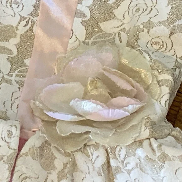 Medium Child Pink Ballerina Costume -Beige floral bodice with Gold glitter - Picture 4 of 8